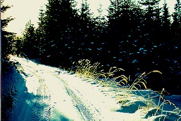 Weg im Schnee